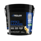 Prolabs Pro Mass Gainer 24gram