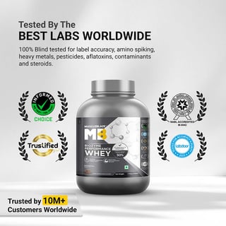 MuscleBlaze Biozyme Performance Whey 24gram